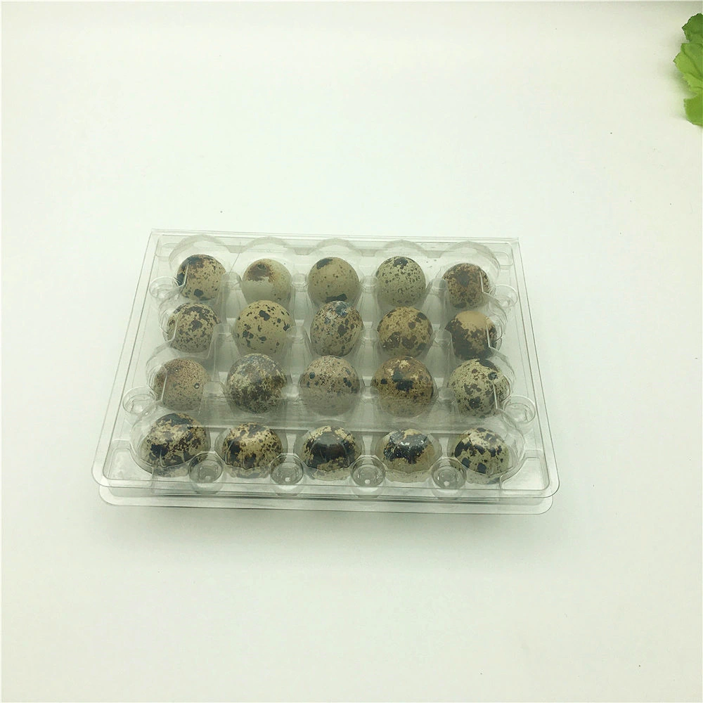 Transparent Blister Plastic Pet 20holes Quail Egg Packaging Tray