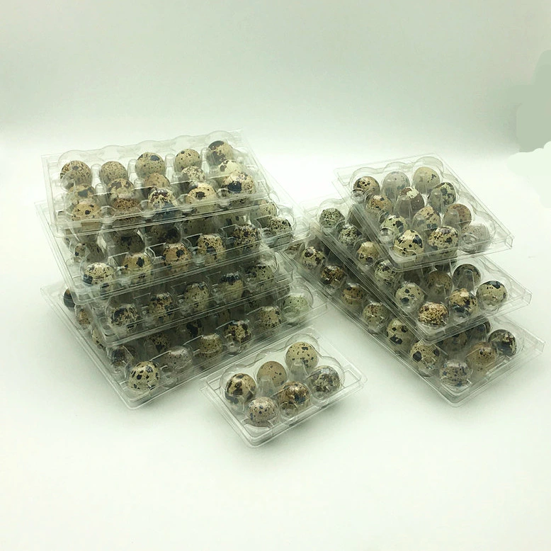 Transparent Blister Plastic Pet 20holes Quail Egg Packaging Tray