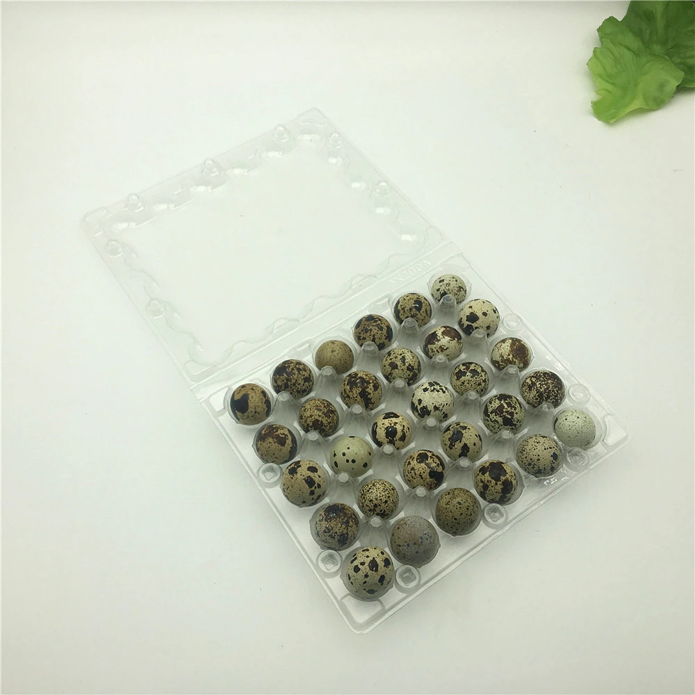 Transparent Blister Plastic Pet 20holes Quail Egg Packaging Tray