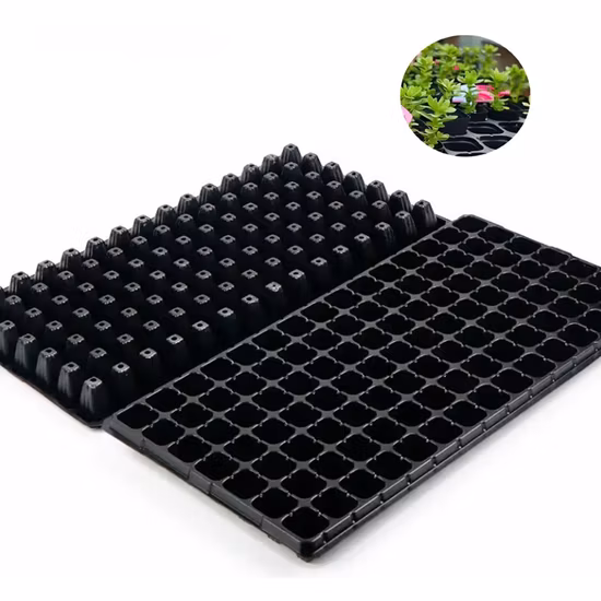 Недорогие лотки для рассады из ПВХ-материала