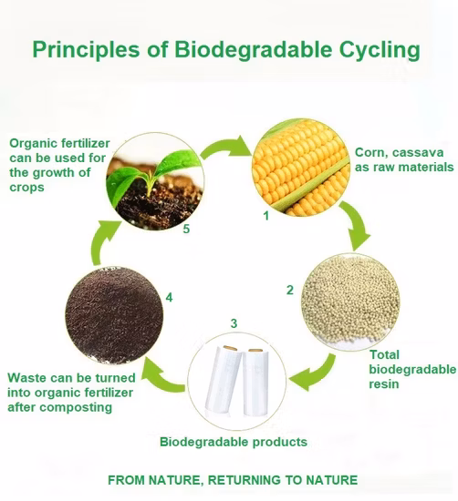 Пищевой Эко